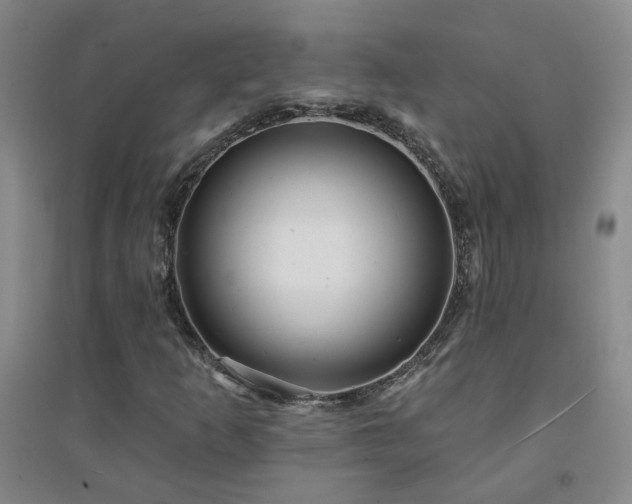 X0000094421253200711151312