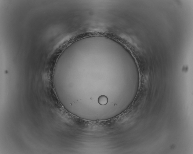 X0000094421254200711151312