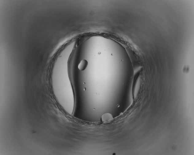 X0000094421256200711151312
