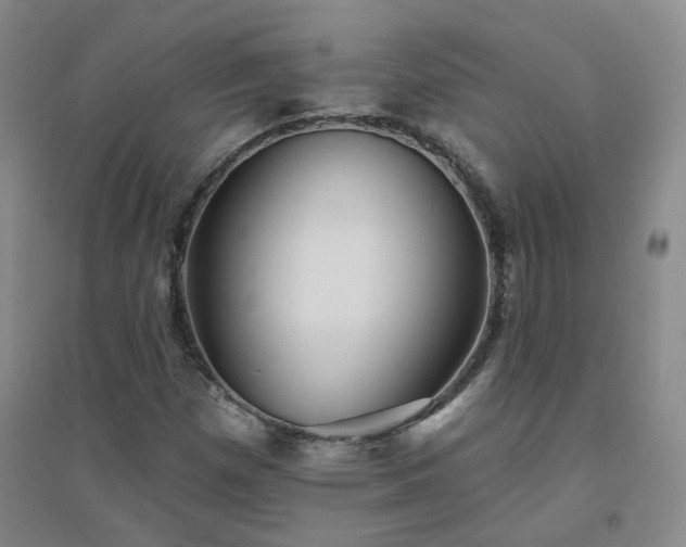 X0000094421257200711151312