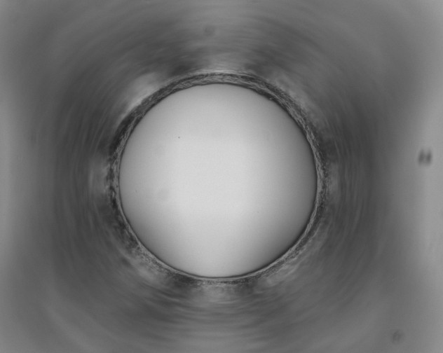 X0000094421258200711151312