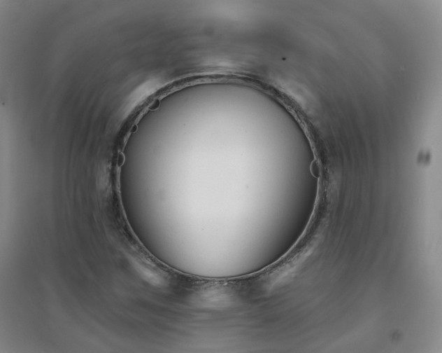 X0000094421259200711151312