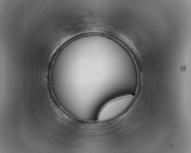X0000094421260200711151312