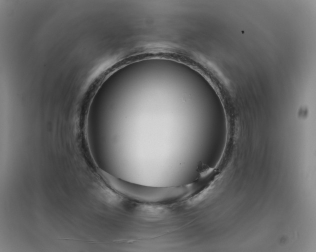 X0000094421261200711151312