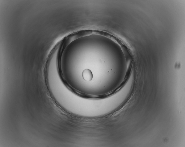 X0000094421264200711151312
