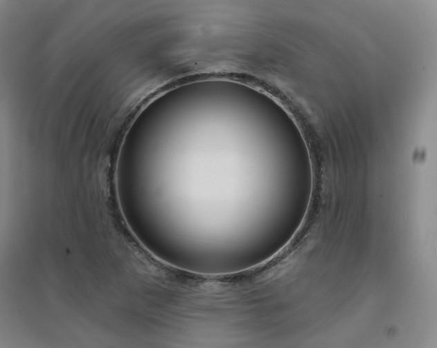 X0000094421265200711151312