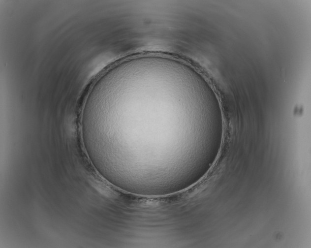 X0000094421266200711151312