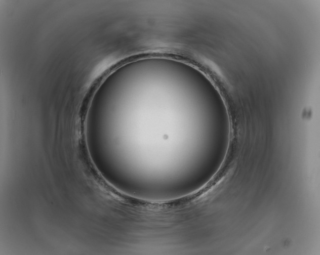 X0000094421267200711151312