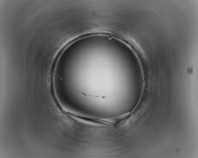 X0000094421268200711151312