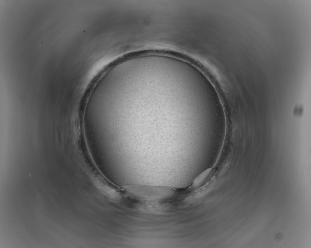 X0000094421271200711151312