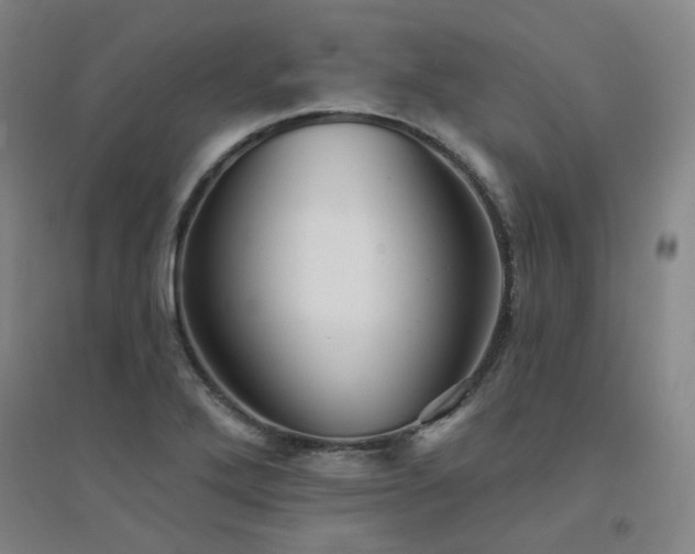 X0000094421272200711151312