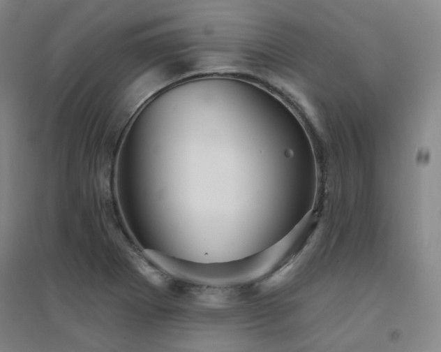 X0000094421273200711151312