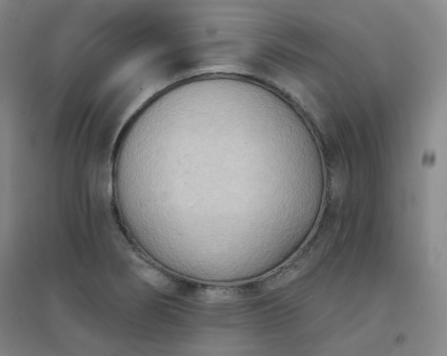 X0000094421274200711151312