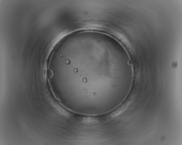 X0000094421275200711151312