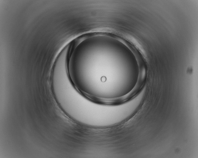 X0000094421276200711151312