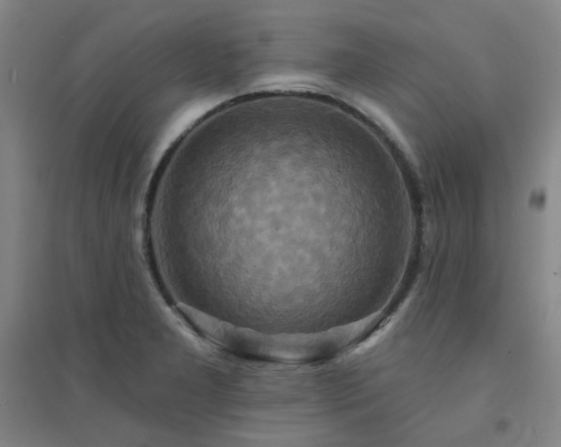 X0000094421277200711151312