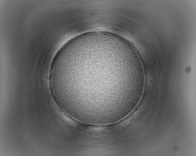X0000094421278200711151312