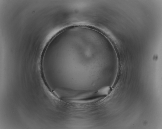 X0000094421279200711151312