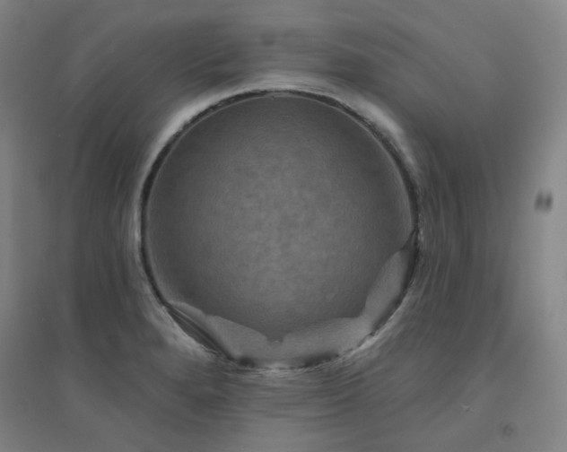 X0000094421280200711151312