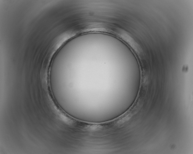 X0000094421282200711151312