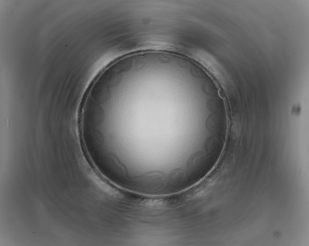 X0000094421283200711151312
