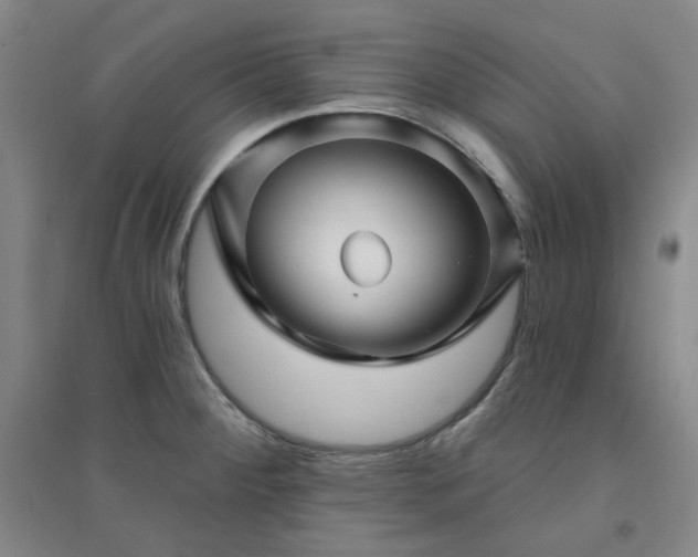 X0000094421284200711151312
