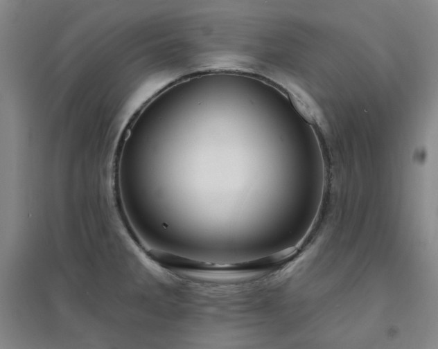X0000094421285200711151312