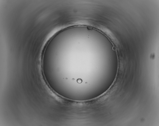 X0000094421286200711151312