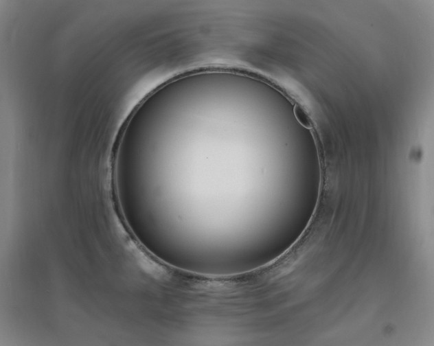 X0000094421287200711151312