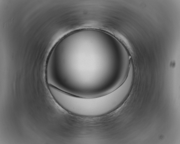 X0000094421288200711151312
