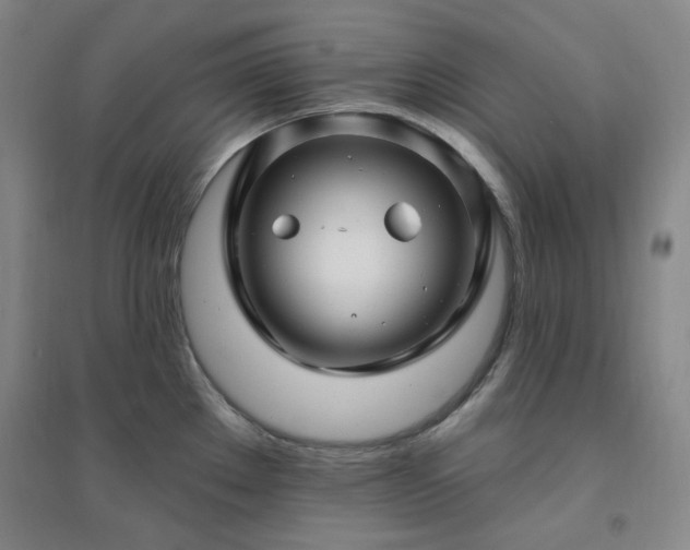 X0000094421289200711151312