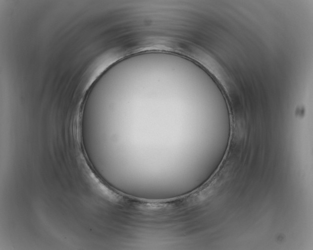 X0000094421290200711151312