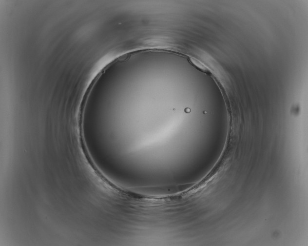 X0000094421291200711151312