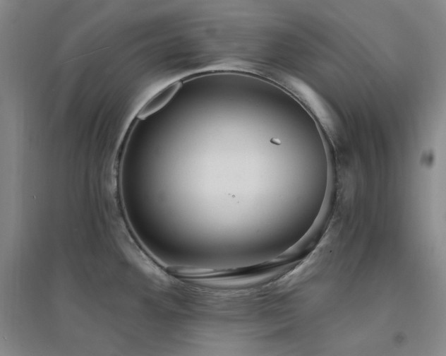 X0000094421292200711151312