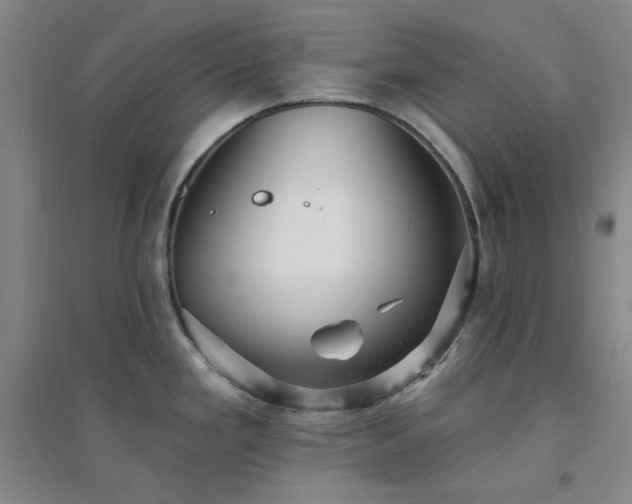 X0000094421293200711151312