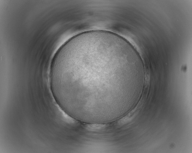 X0000094421294200711151312
