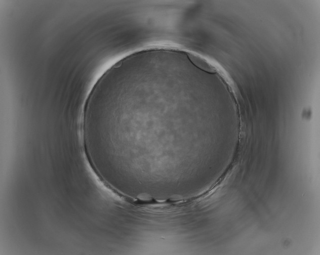 X0000094421295200711151312