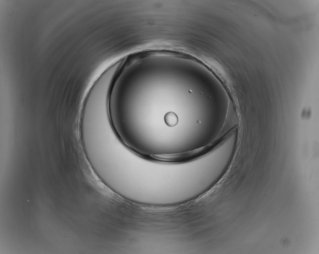 X0000094421296200711151312