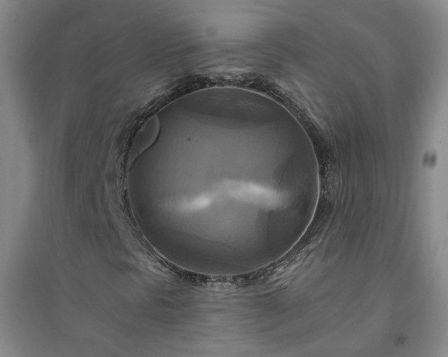 X0000094421297200711151311