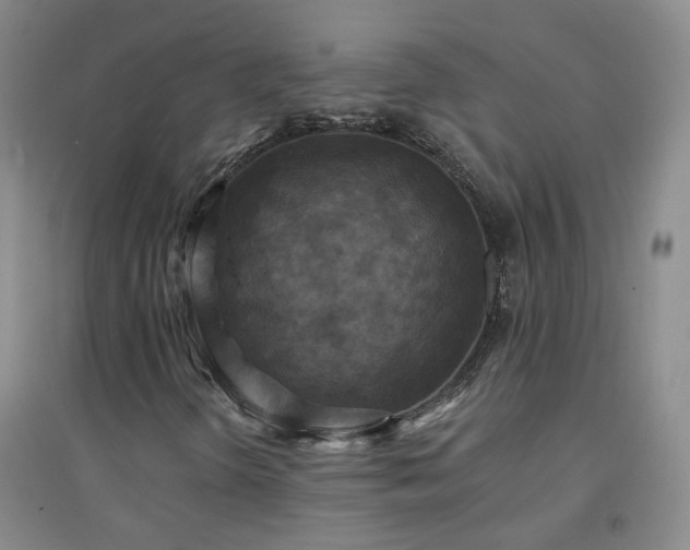 X0000094421298200711151311