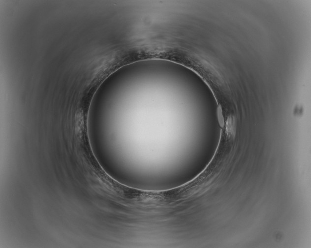 X0000094421299200711151311