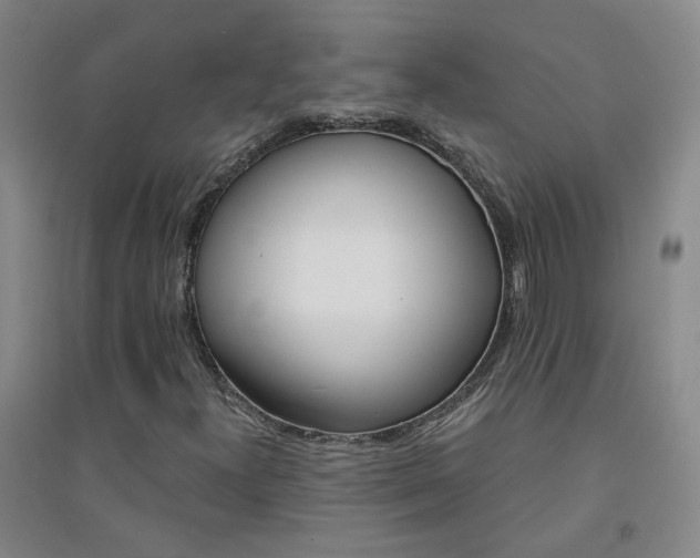 X0000094421300200711151311