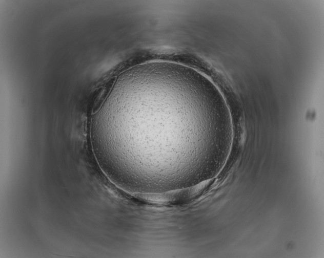X0000094421301200711151311