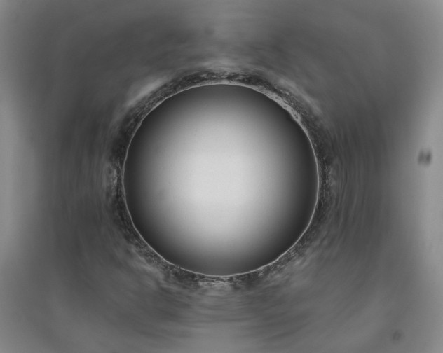 X0000094421302200711151311