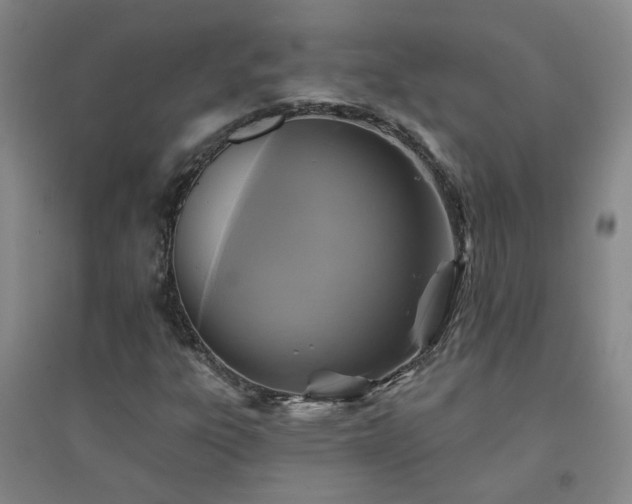 X0000094421303200711151311
