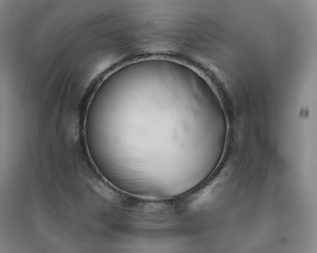 X0000094421306200711151311
