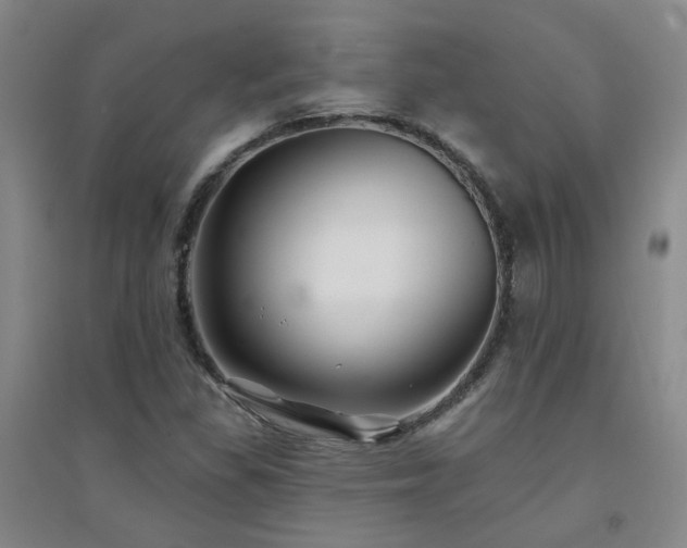 X0000094421309200711151311