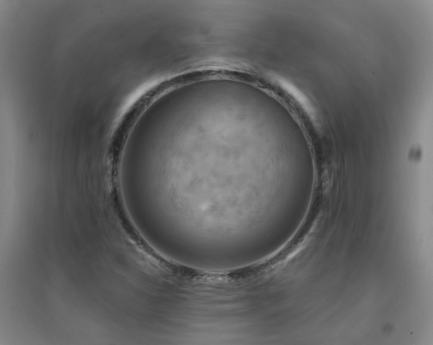 X0000094421310200711151311