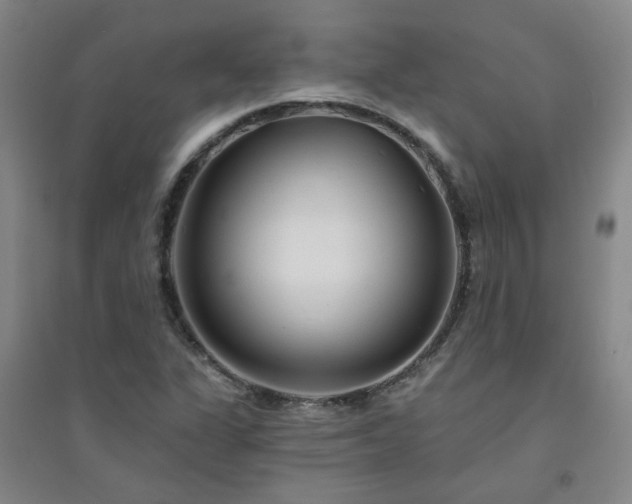X0000094421311200711151311