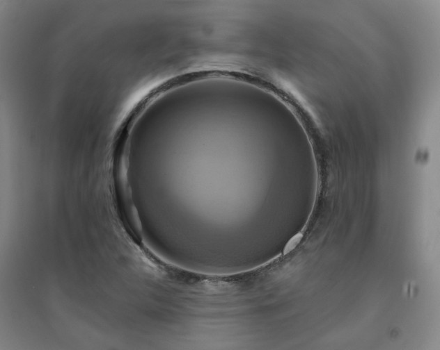 X0000094421312200711151311